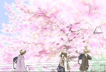 深入了解 丝瓜黄瓜茄子秋葵草莓榴莲污
